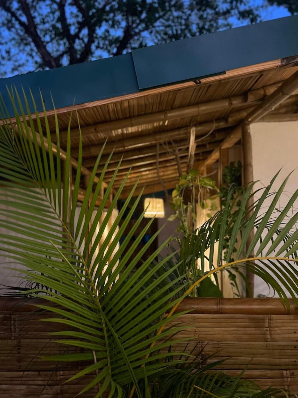 Dream Surf House Santa Teresa Pansiyon Playa Hermosa Cobano Dış mekan fotoğraf