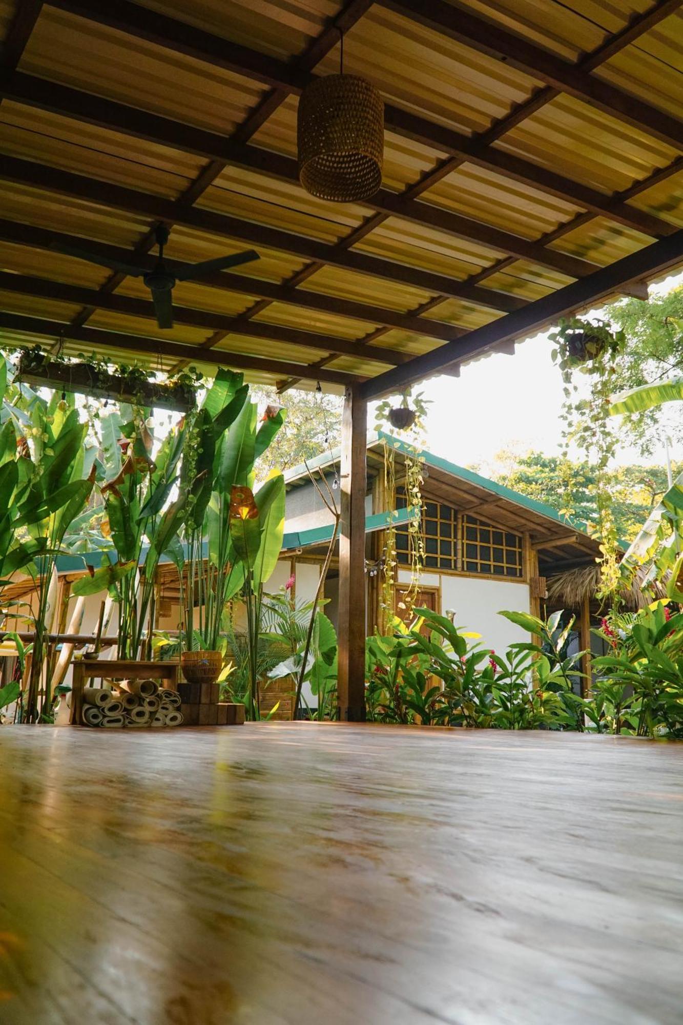Dream Surf House Santa Teresa Pansiyon Playa Hermosa Cobano Dış mekan fotoğraf