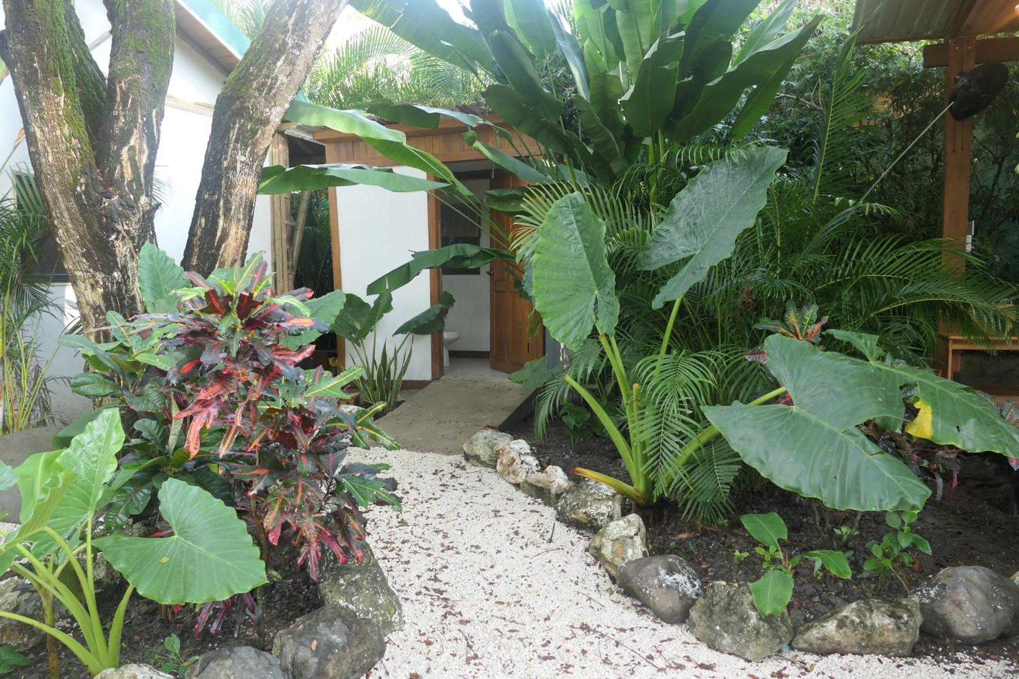 Dream Surf House Santa Teresa Pansiyon Playa Hermosa Cobano Dış mekan fotoğraf
